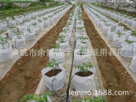 Frecce a goccia personalizzabili per l'irrigazione delle fattorie agricoltura irrigazione personalizzazione