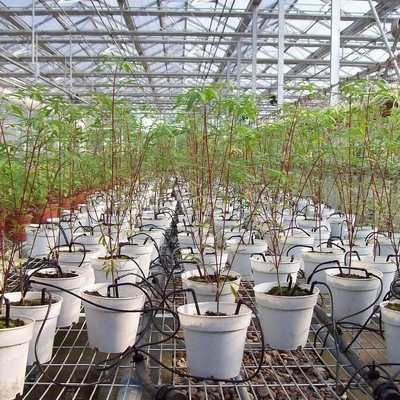 Irrigazione in vaso Agricoltura Frecce a goccia con materiali plastici di ingegneria durevoli