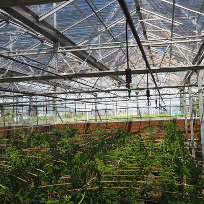 6mm resistente 360 rotativo sprinkler per l'irrigazione del prato giardino in posizione inversa