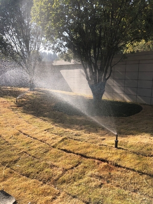Agua il tuo giardino in modo efficiente con il nostro sprinkler di plastica