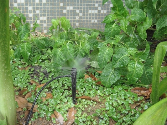 Sprinkler a collegamento inserito a raggio/centrifugo per l'irrigazione costante delle aziende agricole in giardino