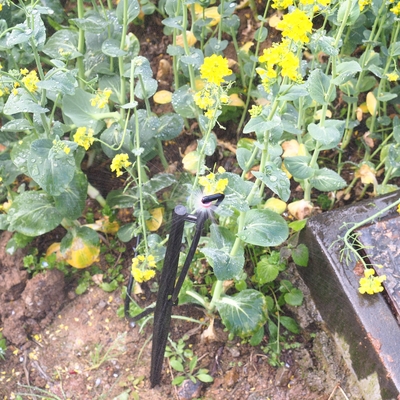 G Tipo 360 Sprinkler di irrigazione forestale a refrazione Micro con controllo della pressione dell'acqua
