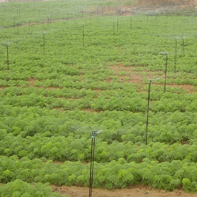 Sistema di irrigazione da 360 gradi per giardini Sistema di irrigazione per acqua agricola con raggio da 3 a 4,8 metri