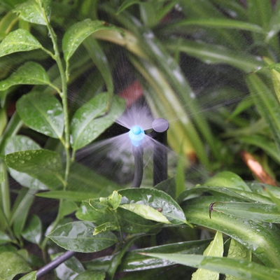 Immagine mostra Irrigazione Semplice uscita Atomizzazione Micro-acqua Agricoltura Sprinkler