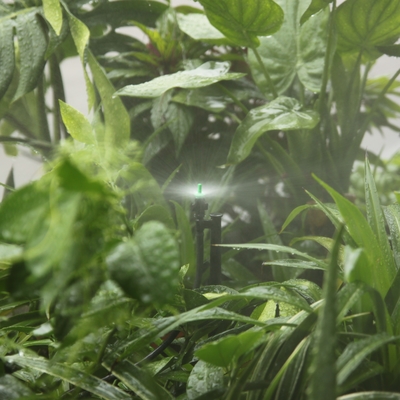 Agricoltura Irrigazione Connessione Quick Connect Spray atomizzato per microirrigazione