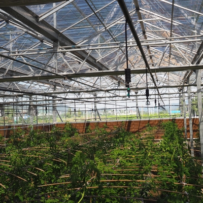 Sprinkler a 360 gradi invertito per l'irrigazione di giardini e aziende agricole