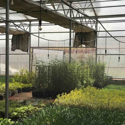 Gli acquirenti commerciali ricevono uno sconto su uno spruzzatore da giardino a 360 gradi per l'irrigazione agricola