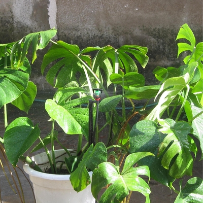 Sistema d'irrigazione per irrigatori di acqua agricola in posizione verticale con irrigatori di plastica