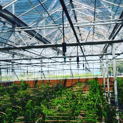 Immagine mostra parti di irrigazione per sprinkler agricoli realizzate in plastica ingegneristica