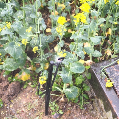 G Tipo 360 gradi Agricoltura Irrigazione Sprinkler prestazioni 1,8-2,6M raggio di spruzzatura
