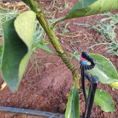 Sprinkler di acqua agricola a 360 gradi stile normale per l'irrigazione a micro sprinkler