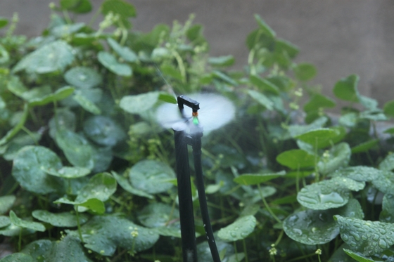 Tipo G Agricoltura e silvicoltura Irrigazione Micro sprinkler stile normale per TV Shopping